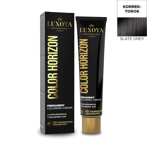 COLOR HORIZON SLATE GREY - Palaszürke Ammóniás hajfesték 60ml